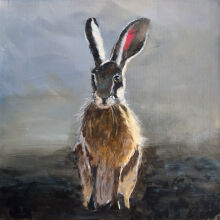 Hare Today (Gone tomorrow if we keep building on greenbelt) SOLD<br /><br />prints available